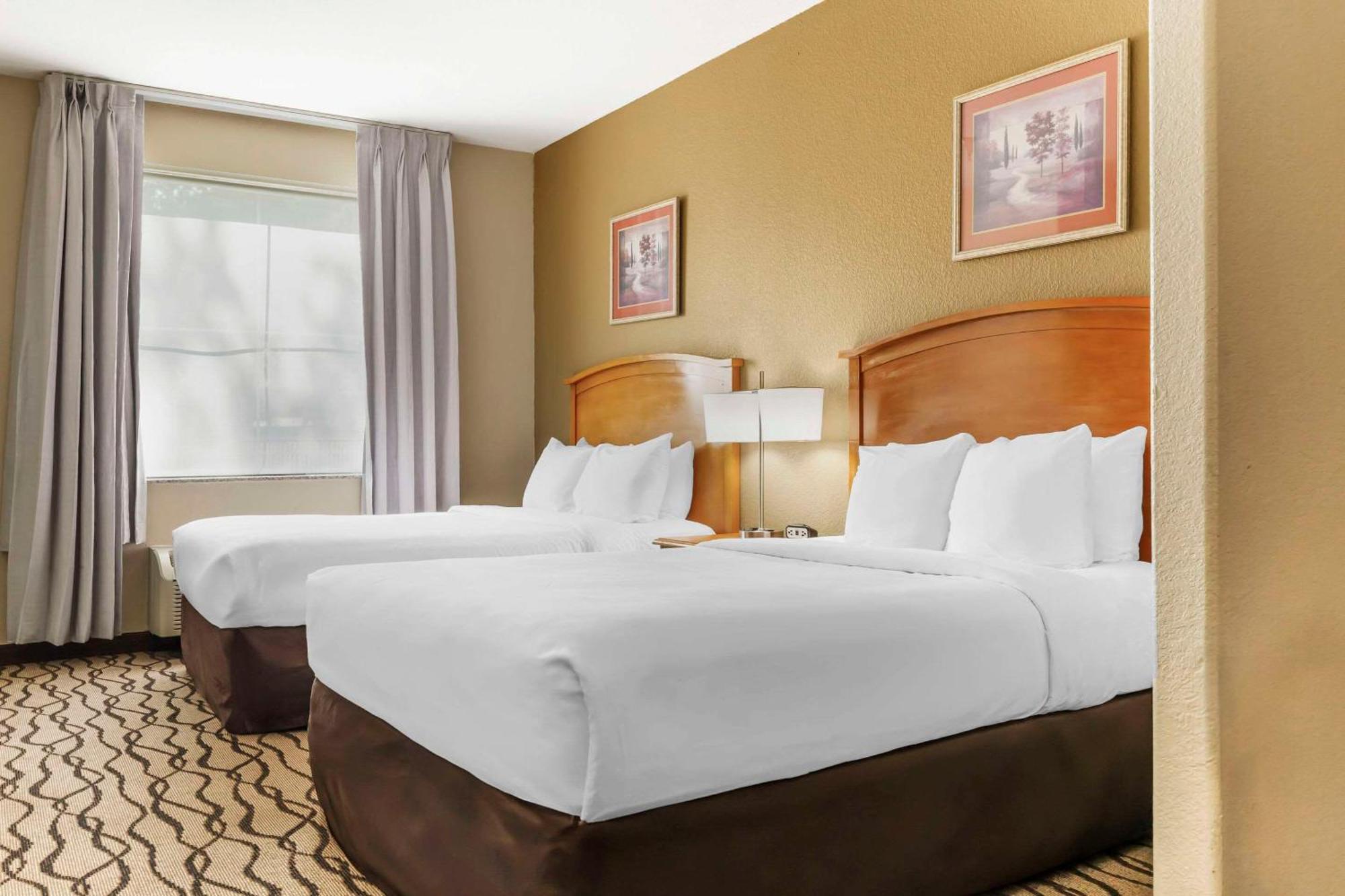 Comfort Inn & Suites Chesapeake - Portsmouth Ngoại thất bức ảnh