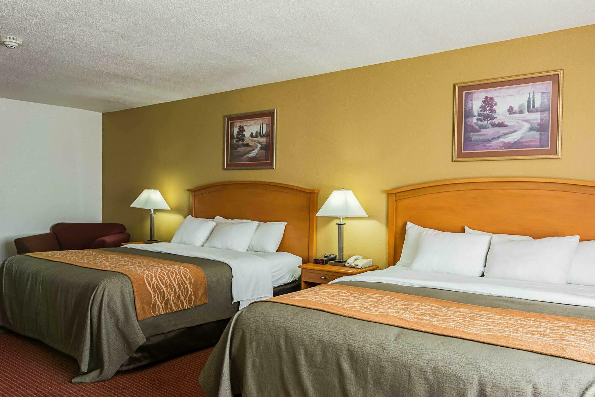 Comfort Inn & Suites Chesapeake - Portsmouth Ngoại thất bức ảnh